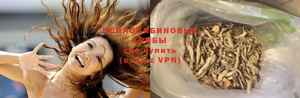 шишки Алзамай