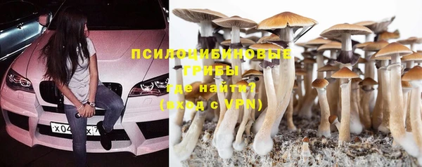 шишки Алзамай