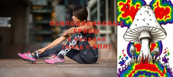 дмт Алексеевка