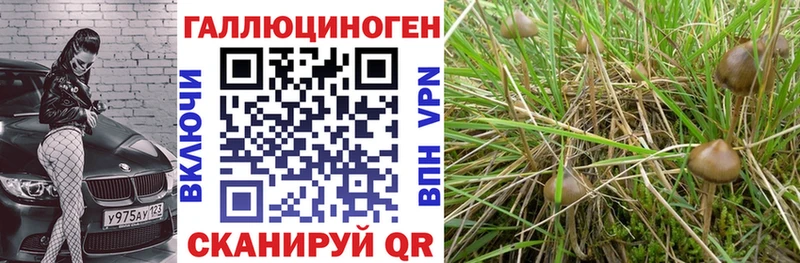 Псилоцибиновые грибы мухоморы  цены наркотик  Заволжск 